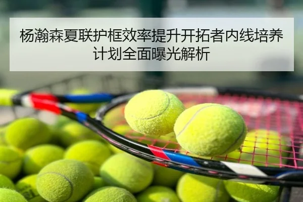 杨瀚森夏联护框效率提升开拓者内线培养计划全面曝光解析